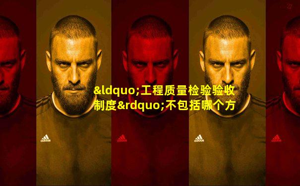 “工程质量检验验收制度”不包括哪个方面的检验( )